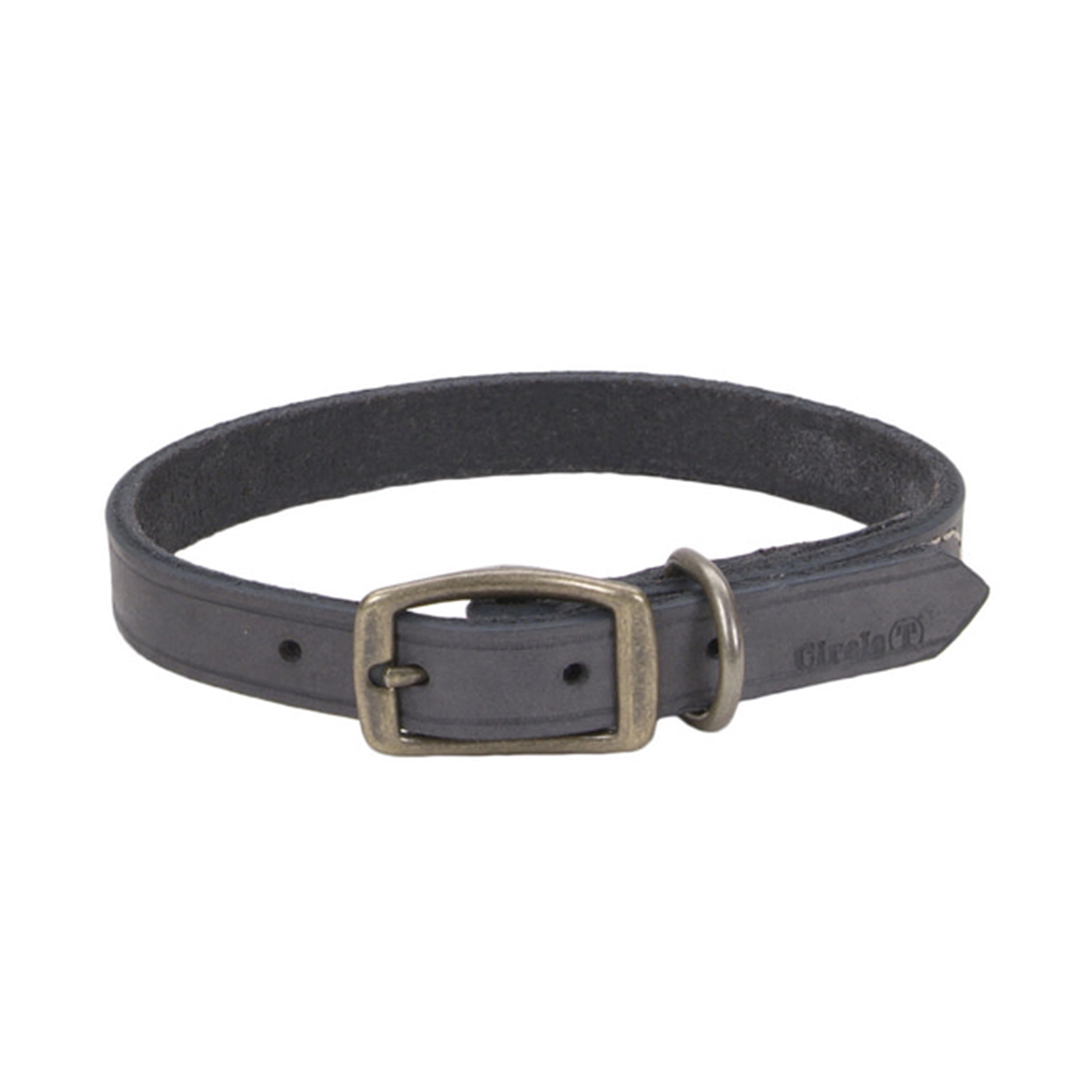 Circle T® Rustic Leather Town Dog Collar, Medium 18"