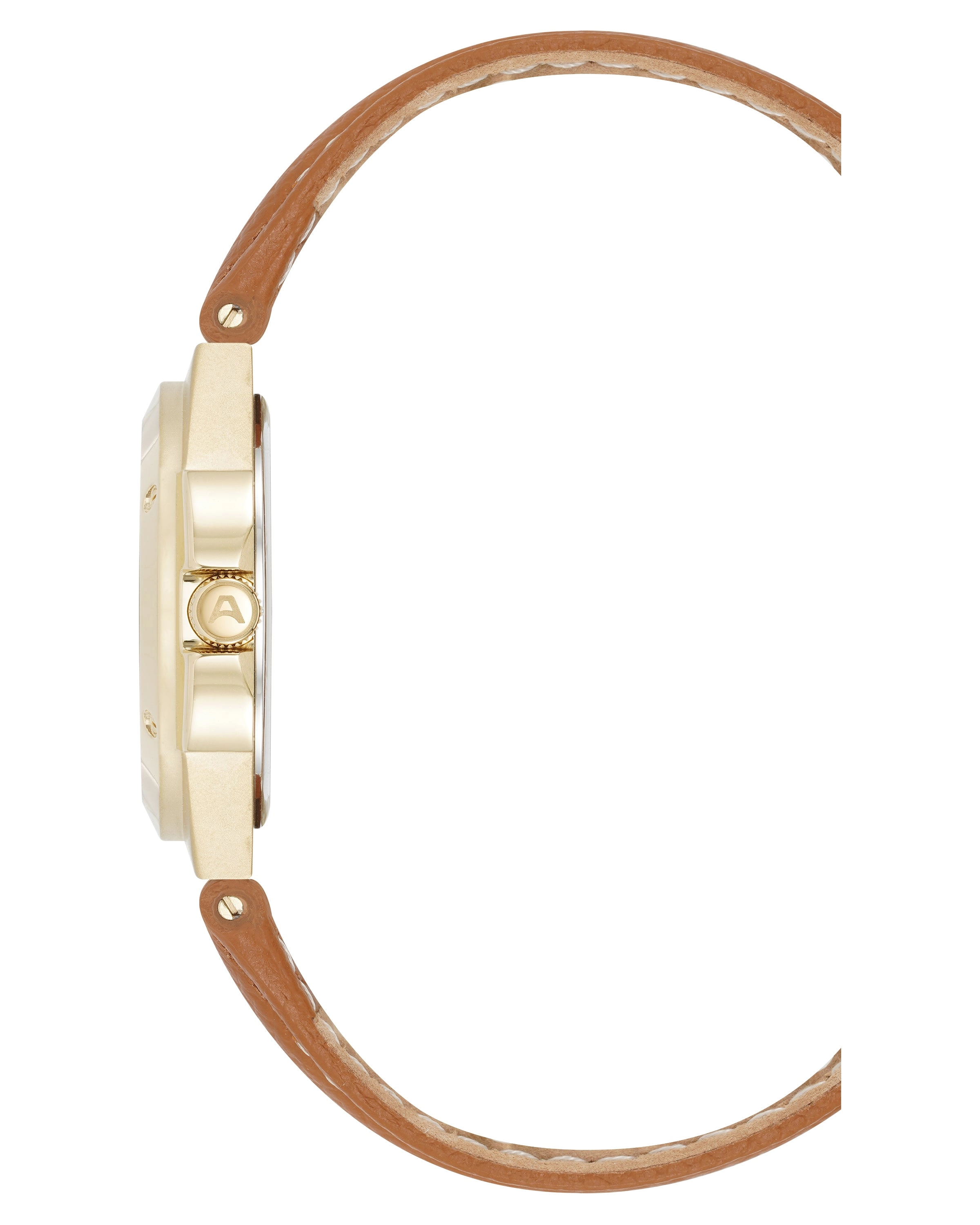 Parker™ | 38mm, Gold/Brown/Silver
