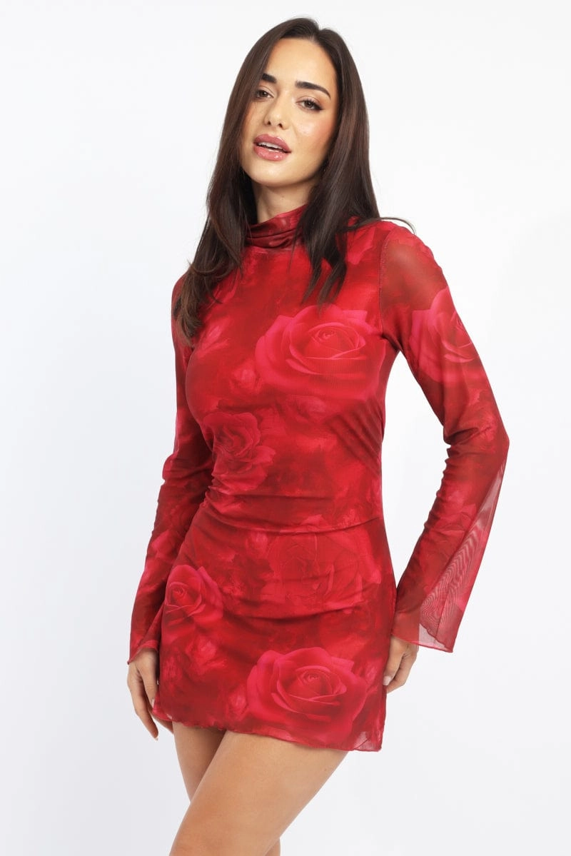 Red Floral Mini Dress High Neck Long Sleeve Mesh